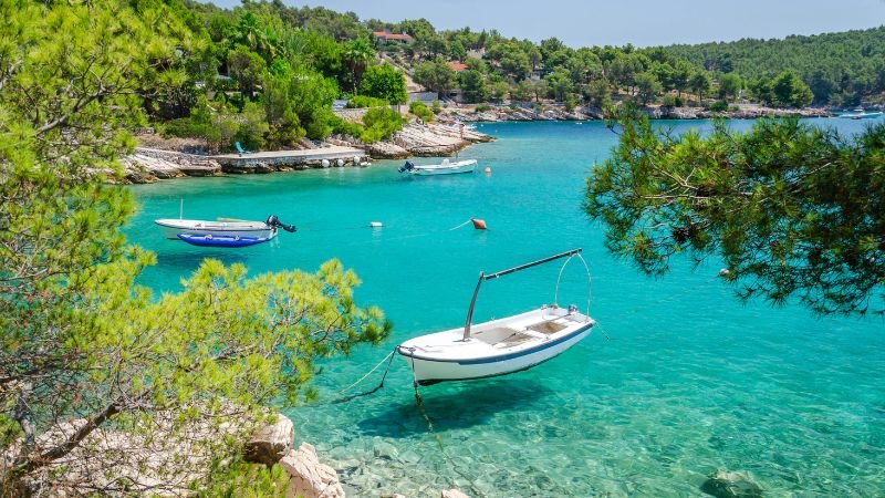 Brač